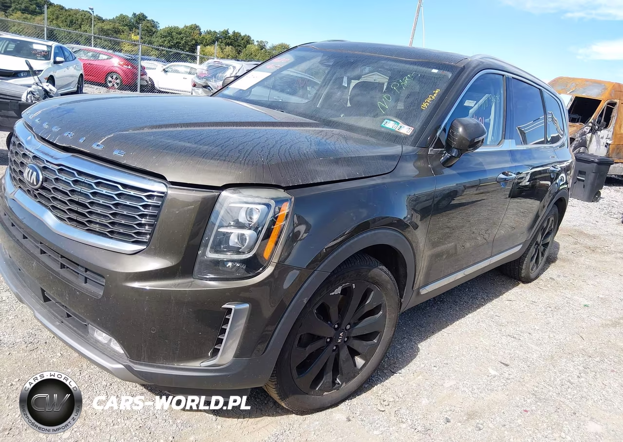 2020 Kia Telluride Sx VIN:5XYP5DHC7LG010948 - 2