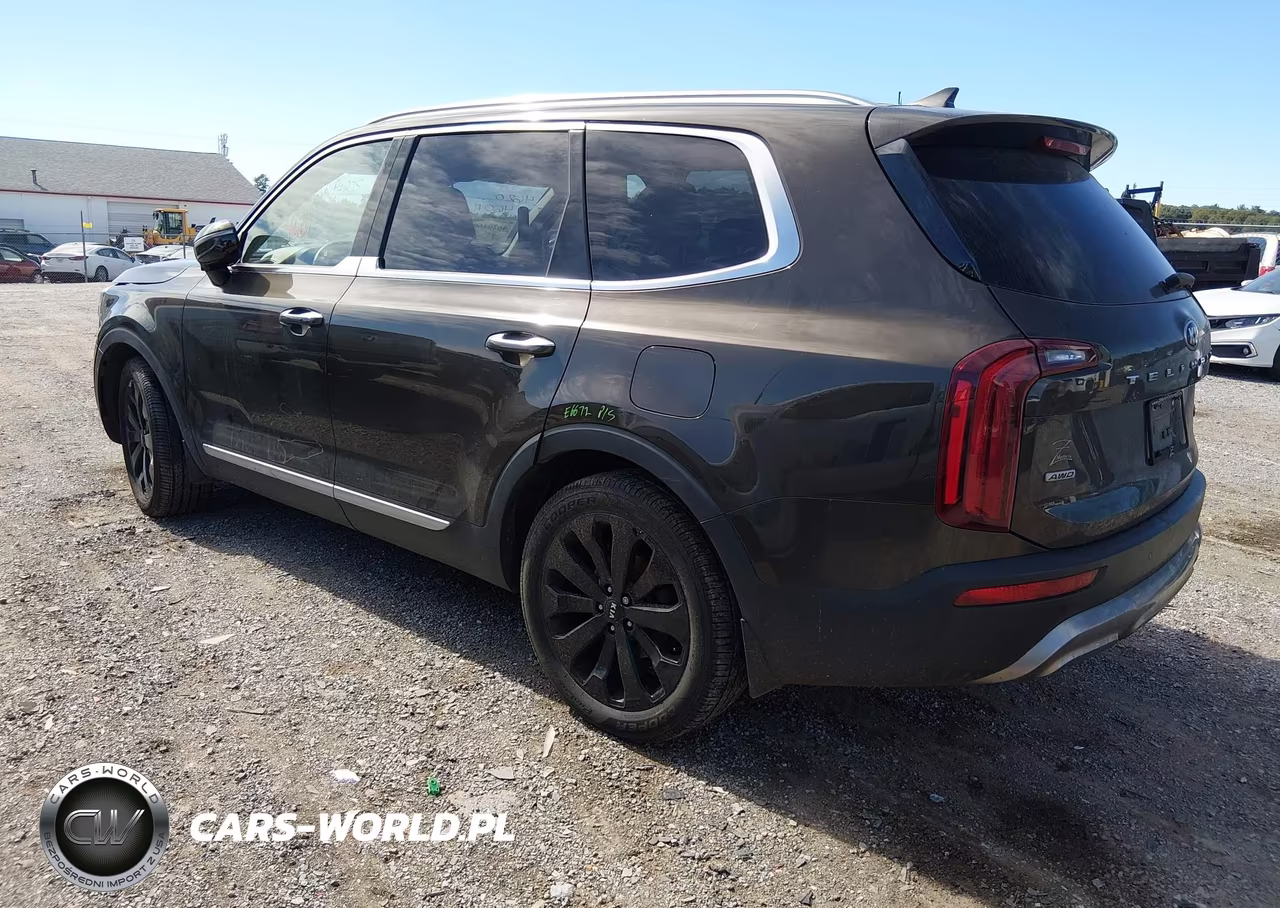 2020 Kia Telluride Sx VIN:5XYP5DHC7LG010948 - 3