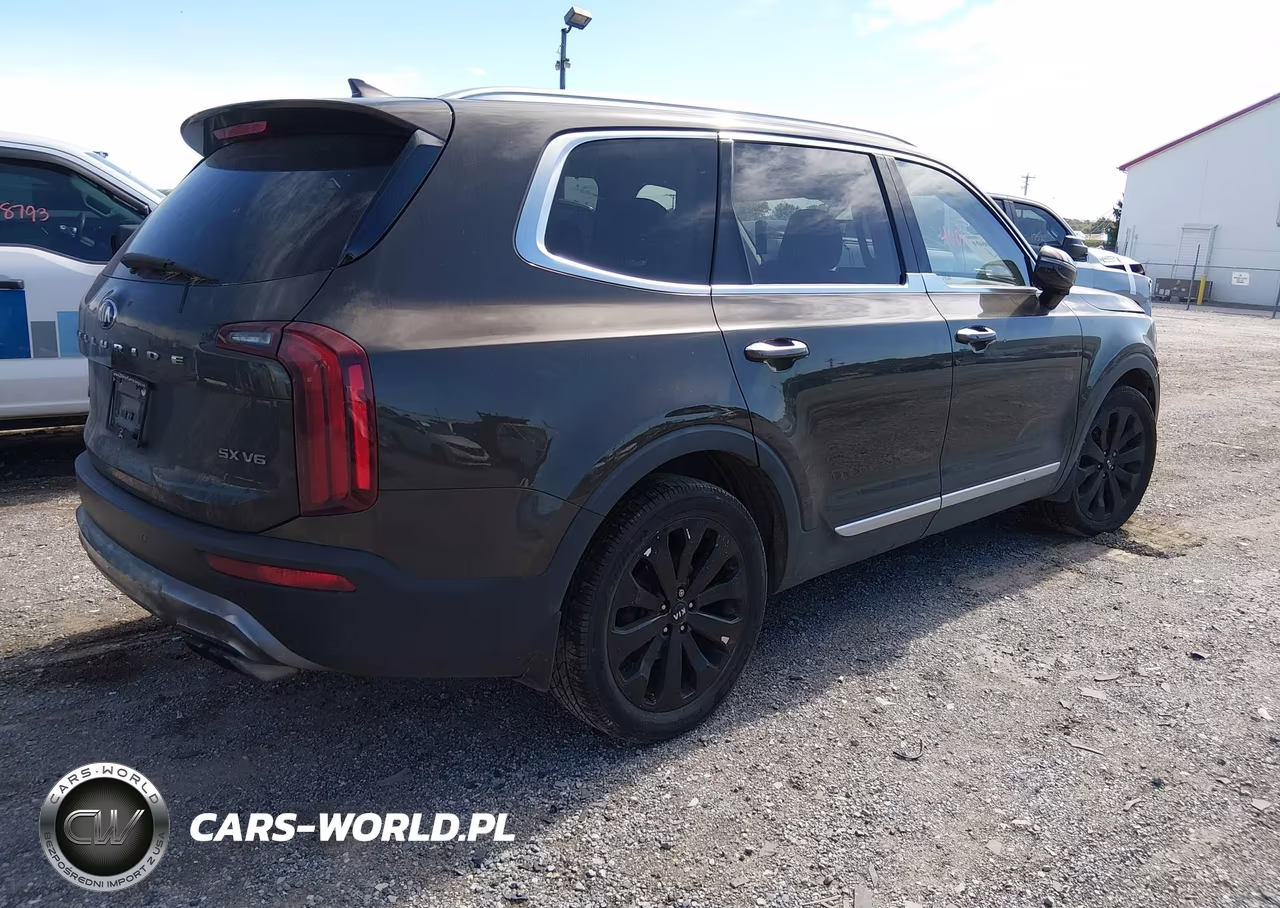2020 Kia Telluride Sx VIN:5XYP5DHC7LG010948 - 4