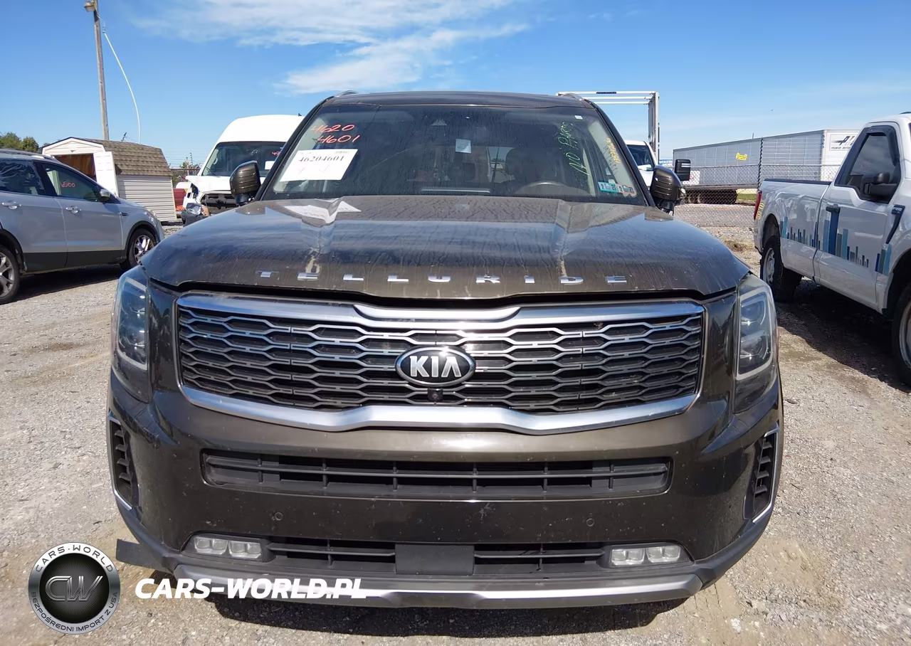 2020 Kia Telluride Sx VIN:5XYP5DHC7LG010948 - 6