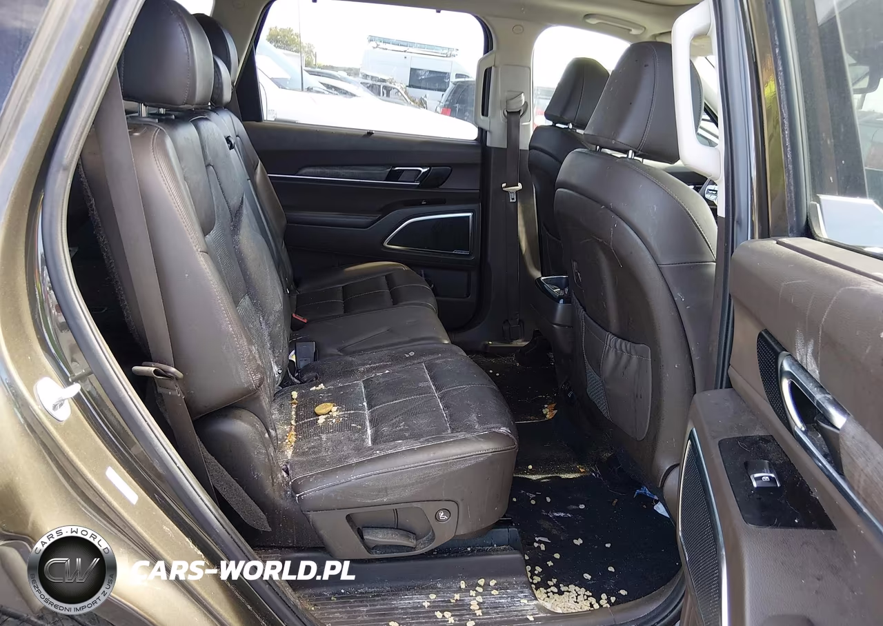 2020 Kia Telluride Sx VIN:5XYP5DHC7LG010948 - 8