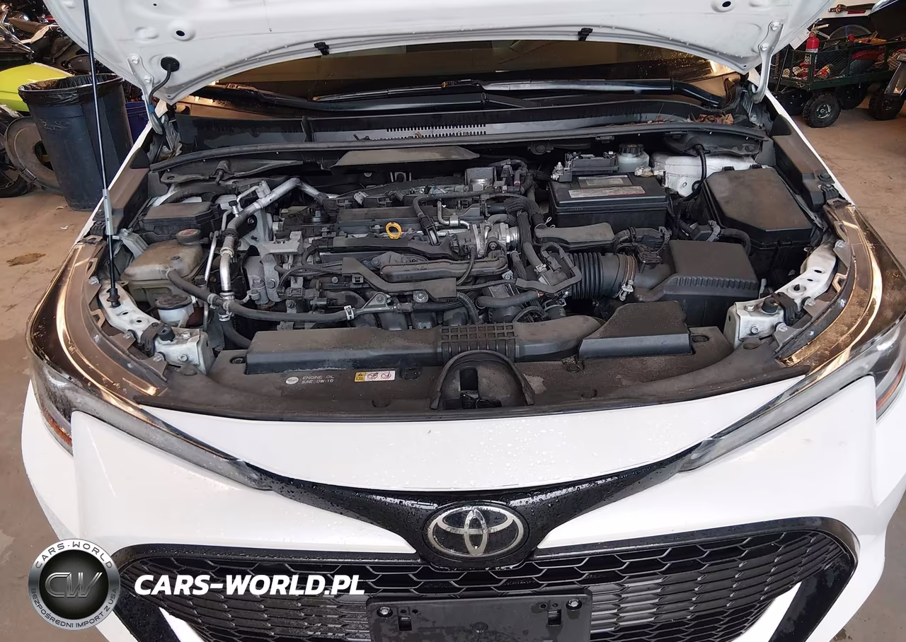 2019 Toyota Corolla Se VIN:JTNK4RBE6K3040171 - 10