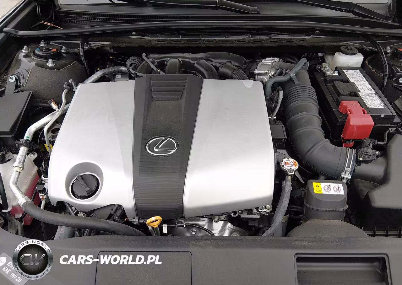 2025 Lexus Es 350 VIN:58ACZ1B13SU205391 - 10