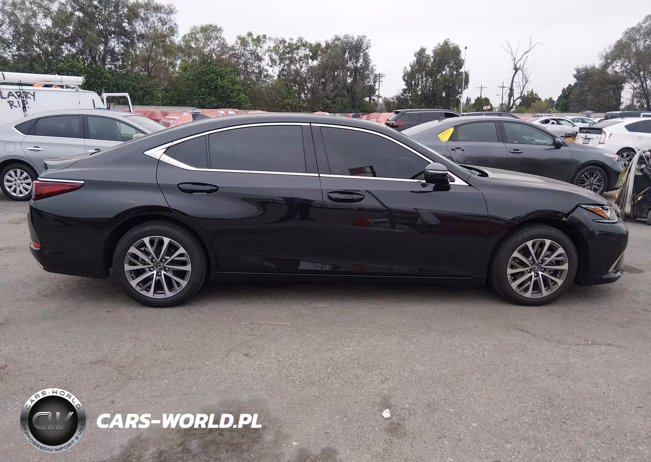 2025 Lexus Es 350 VIN:58ACZ1B13SU205391 - 13