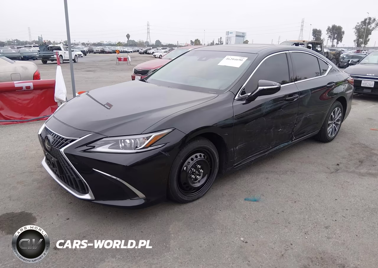 2025 Lexus Es 350 VIN:58ACZ1B13SU205391 - 2