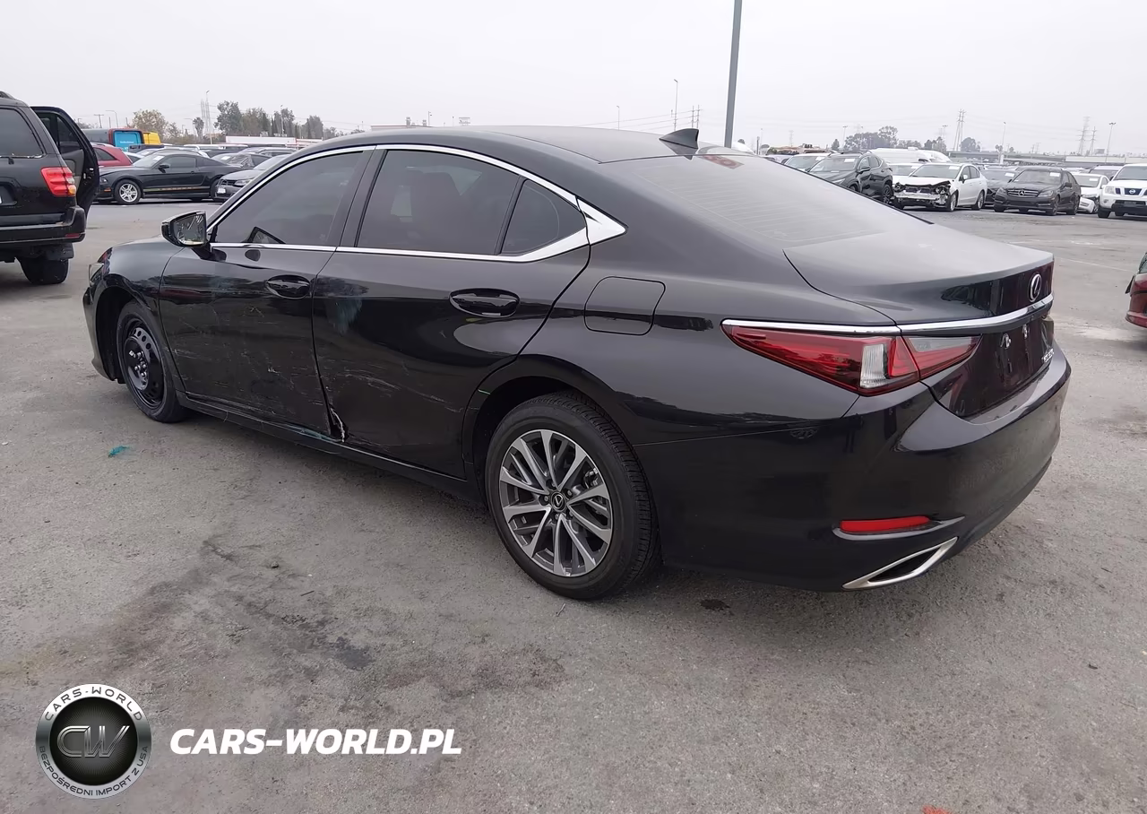 2025 Lexus Es 350 VIN:58ACZ1B13SU205391 - 3