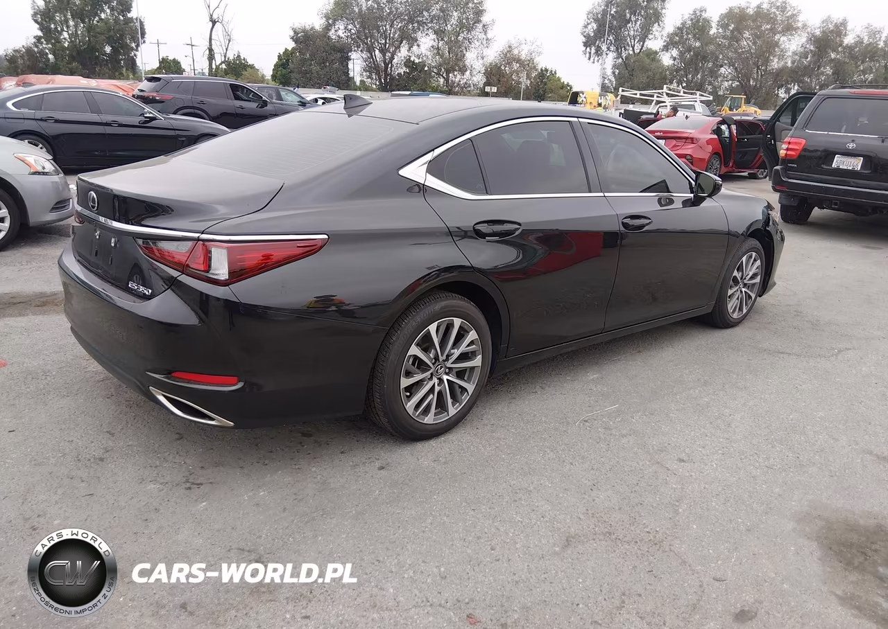 2025 Lexus Es 350 VIN:58ACZ1B13SU205391 - 4