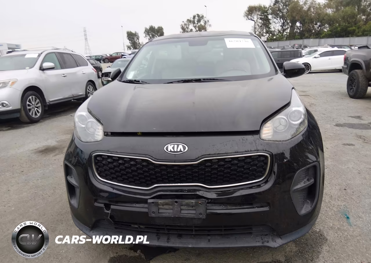 2017 Kia Sportage Lx VIN:KNDPM3ACXH7218236 - 11