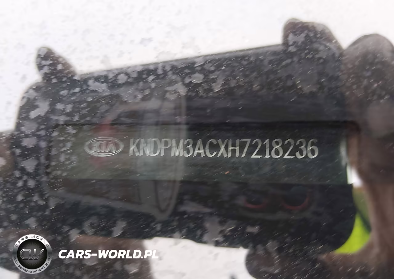 2017 Kia Sportage Lx VIN:KNDPM3ACXH7218236 - 9