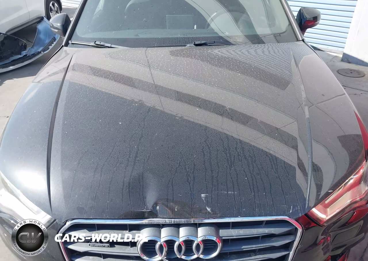 2016 Audi A3 2.0T Premium VIN:WAUB8GFF5G1111649 - 10