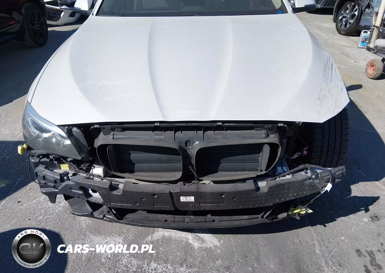 2015 BMW 528I VIN:WBA5A5C53FD516424 - 18