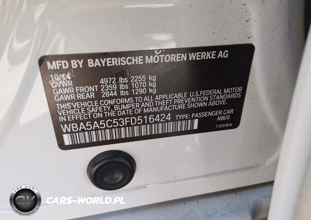 2015 BMW 528I VIN:WBA5A5C53FD516424 - 9