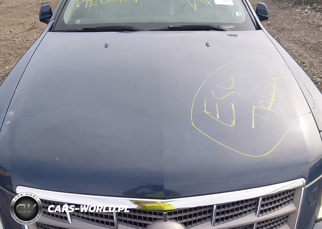 2009 Cadillac Sts V6 VIN:1G6DD67V690129192 - 10