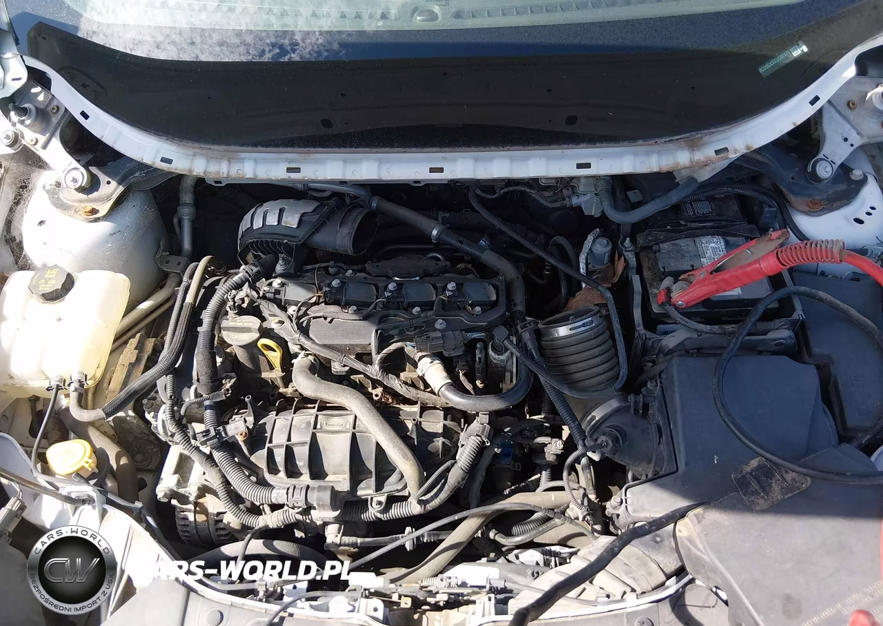2014 Ford Escape Se VIN:1FMCU0GXXEUD02475 - 10