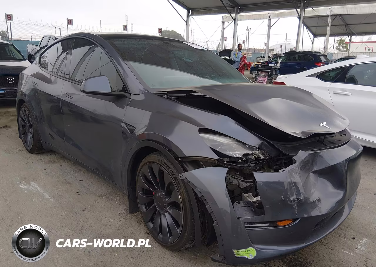 2023 Tesla Model Y Performance Dual Motor All-Wheel Drive