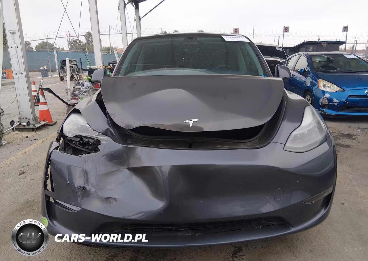 2023 Tesla Model Y Performance Dual Motor All-Wheel Drive VIN:7SAYGDEF9PF711617 - 12
