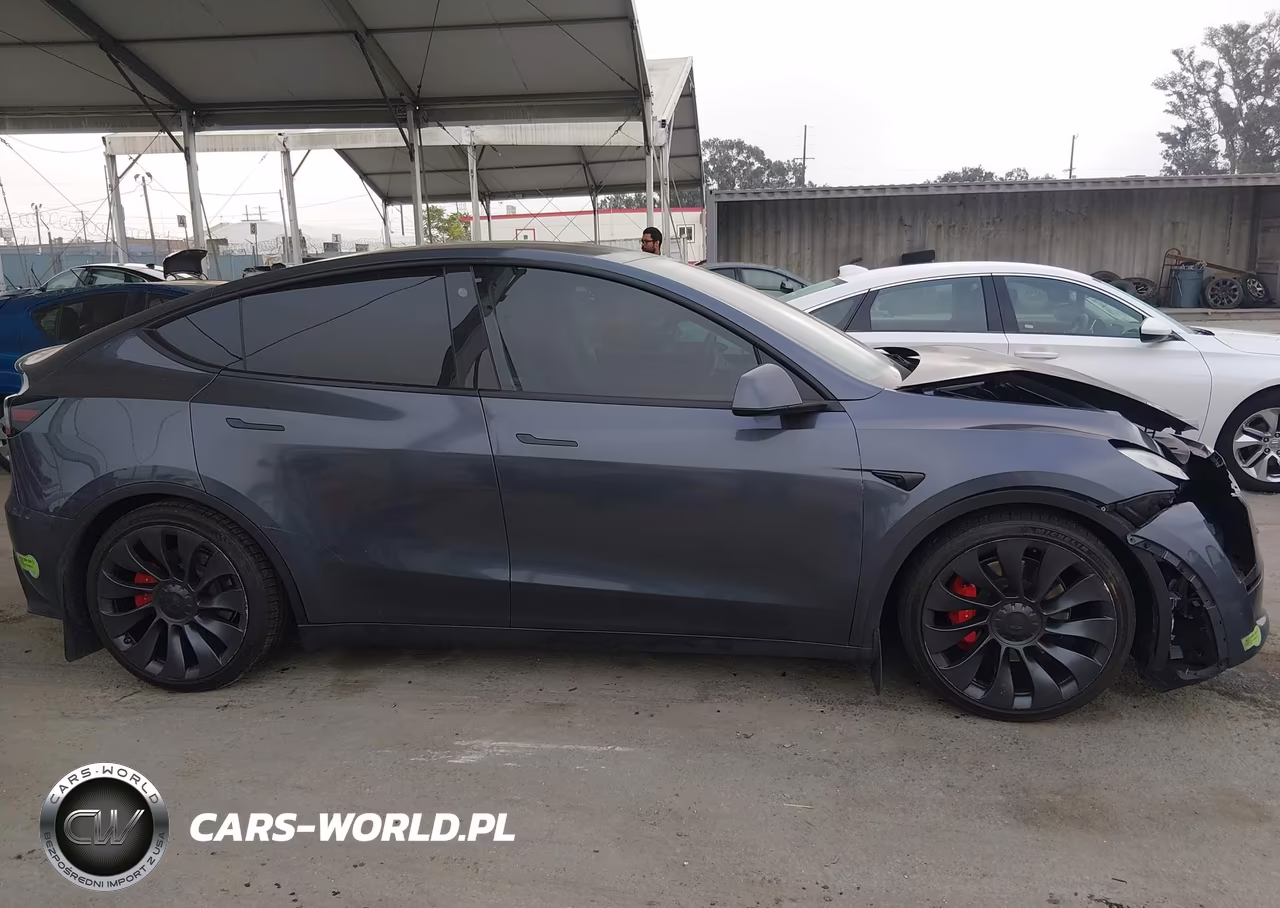 2023 Tesla Model Y Performance Dual Motor All-Wheel Drive VIN:7SAYGDEF9PF711617 - 13