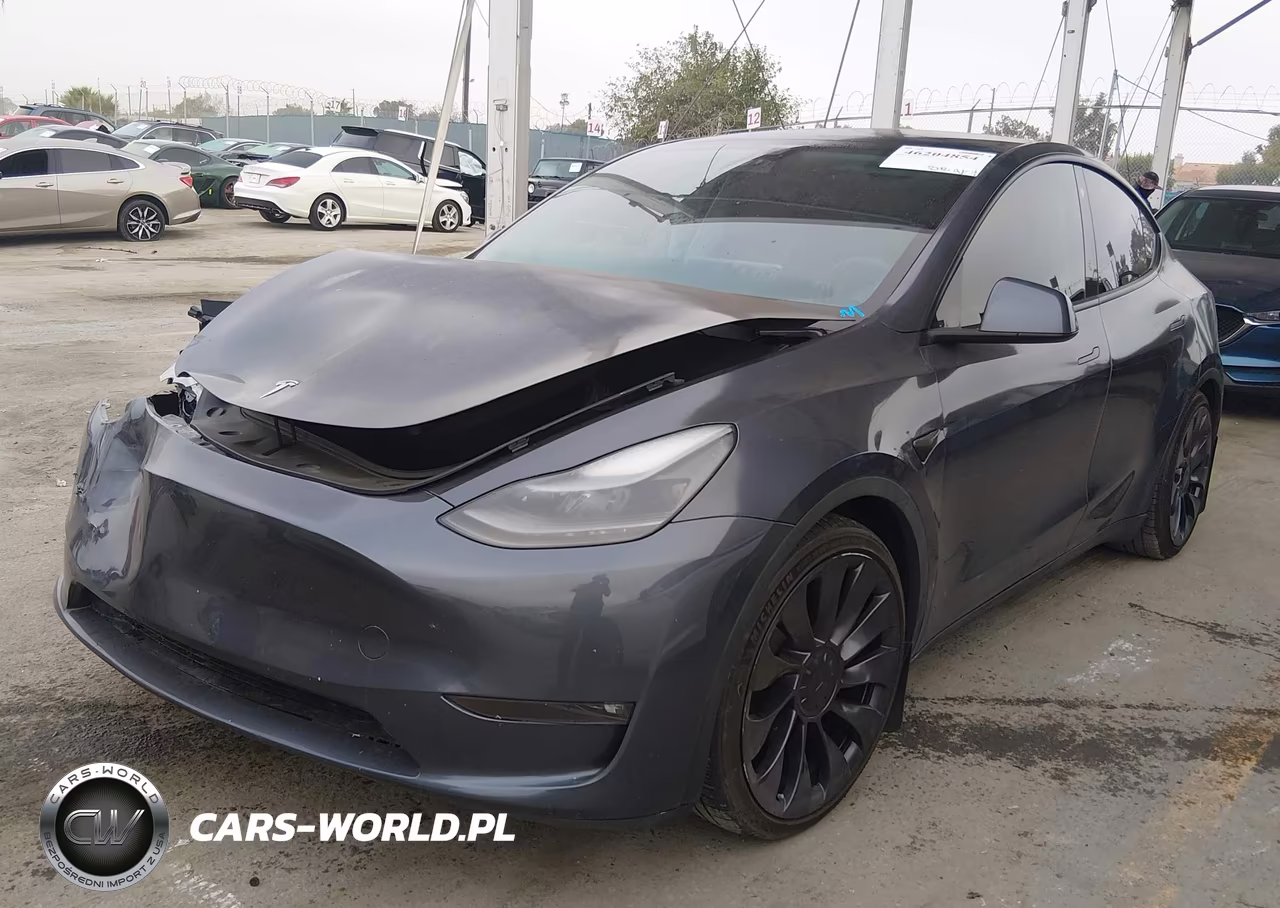 2023 Tesla Model Y Performance Dual Motor All-Wheel Drive VIN:7SAYGDEF9PF711617 - 2