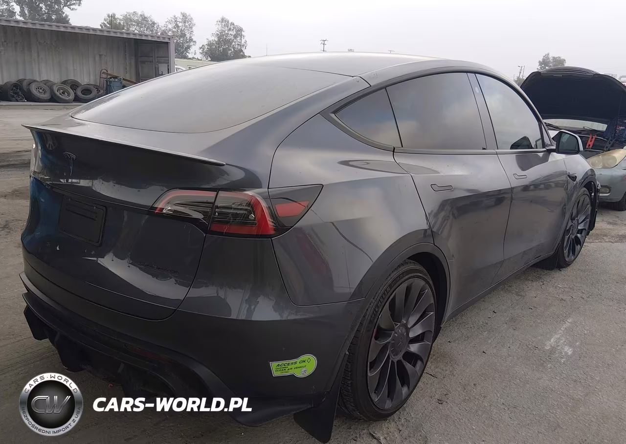 2023 Tesla Model Y Performance Dual Motor All-Wheel Drive VIN:7SAYGDEF9PF711617 - 4