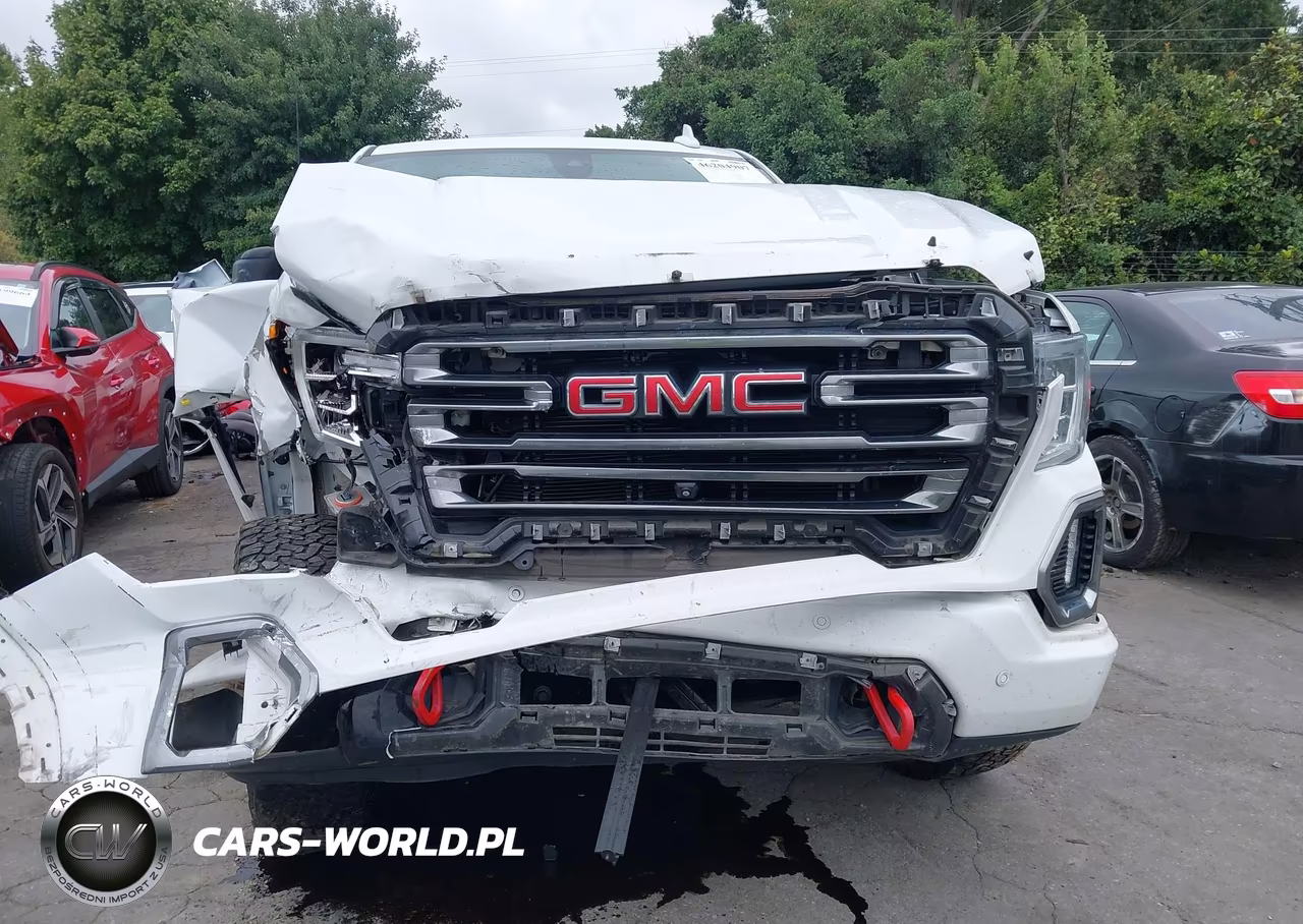 2019 GMC Sierra 1500 At4 VIN:1GTP9EEL1KZ138293 - 12