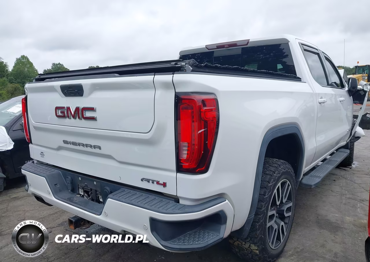 2019 GMC Sierra 1500 At4 VIN:1GTP9EEL1KZ138293 - 4