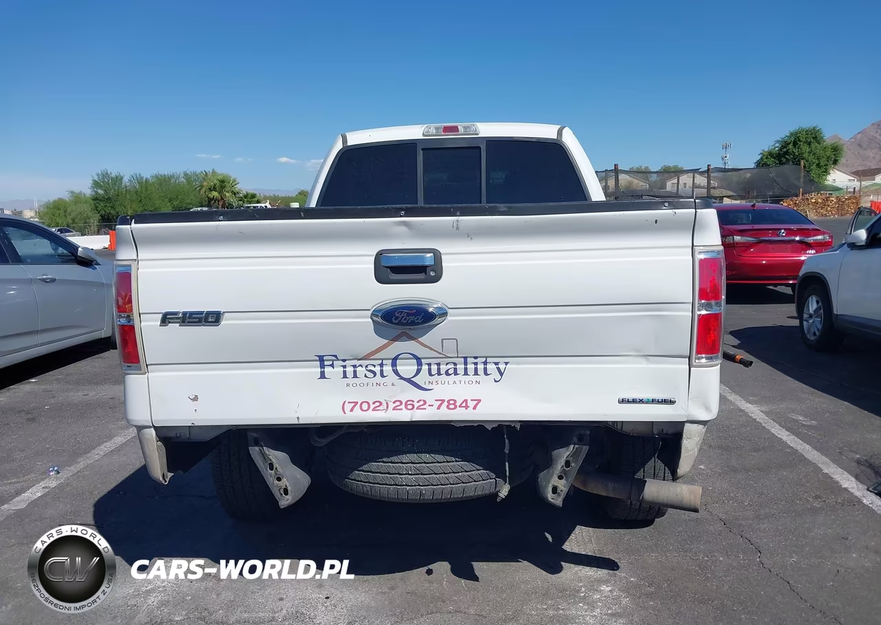 2014 Ford F-150 Xlt VIN:1FTFX1CF2EFB87600 - 16