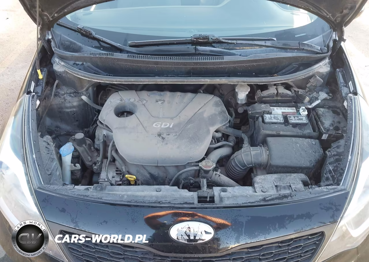 2014 Kia Rio Lx VIN:KNADM4A31E6389013 - 10