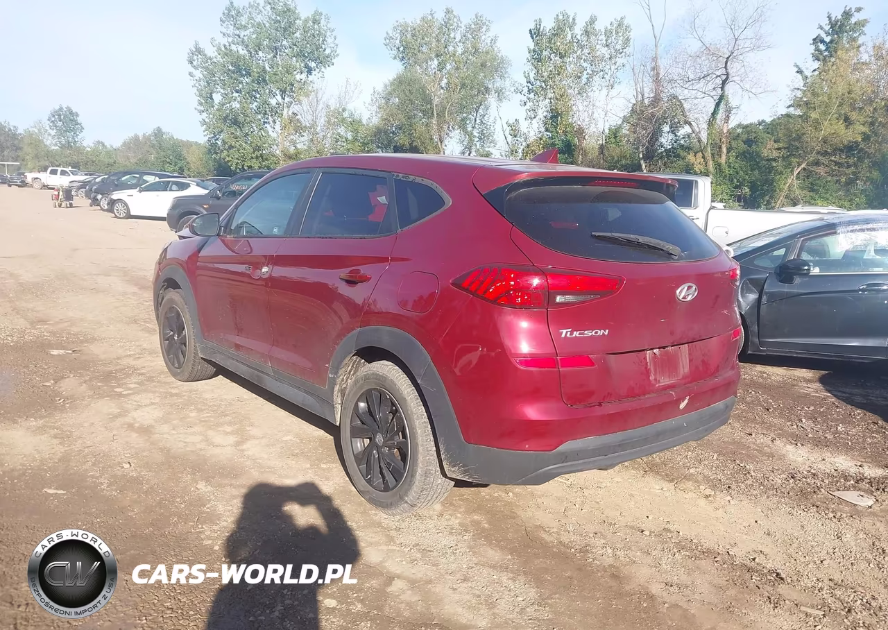 2019 Hyundai Tucson Se VIN:KM8J2CA4XKU019745 - 3