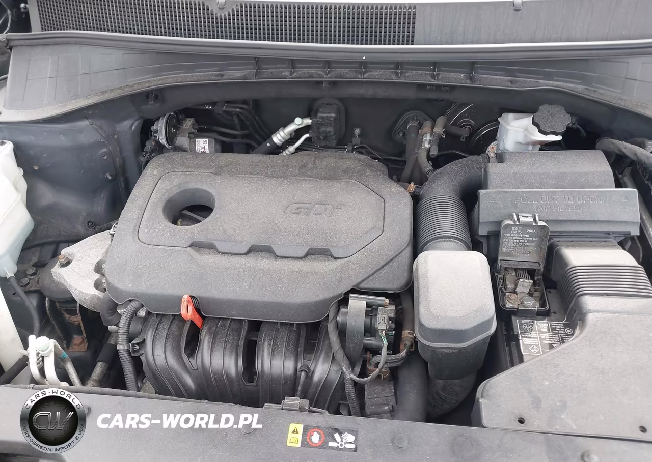 2017 Kia Sorento 2.4L Lx VIN:5XYPG4A30HG217161 - 10
