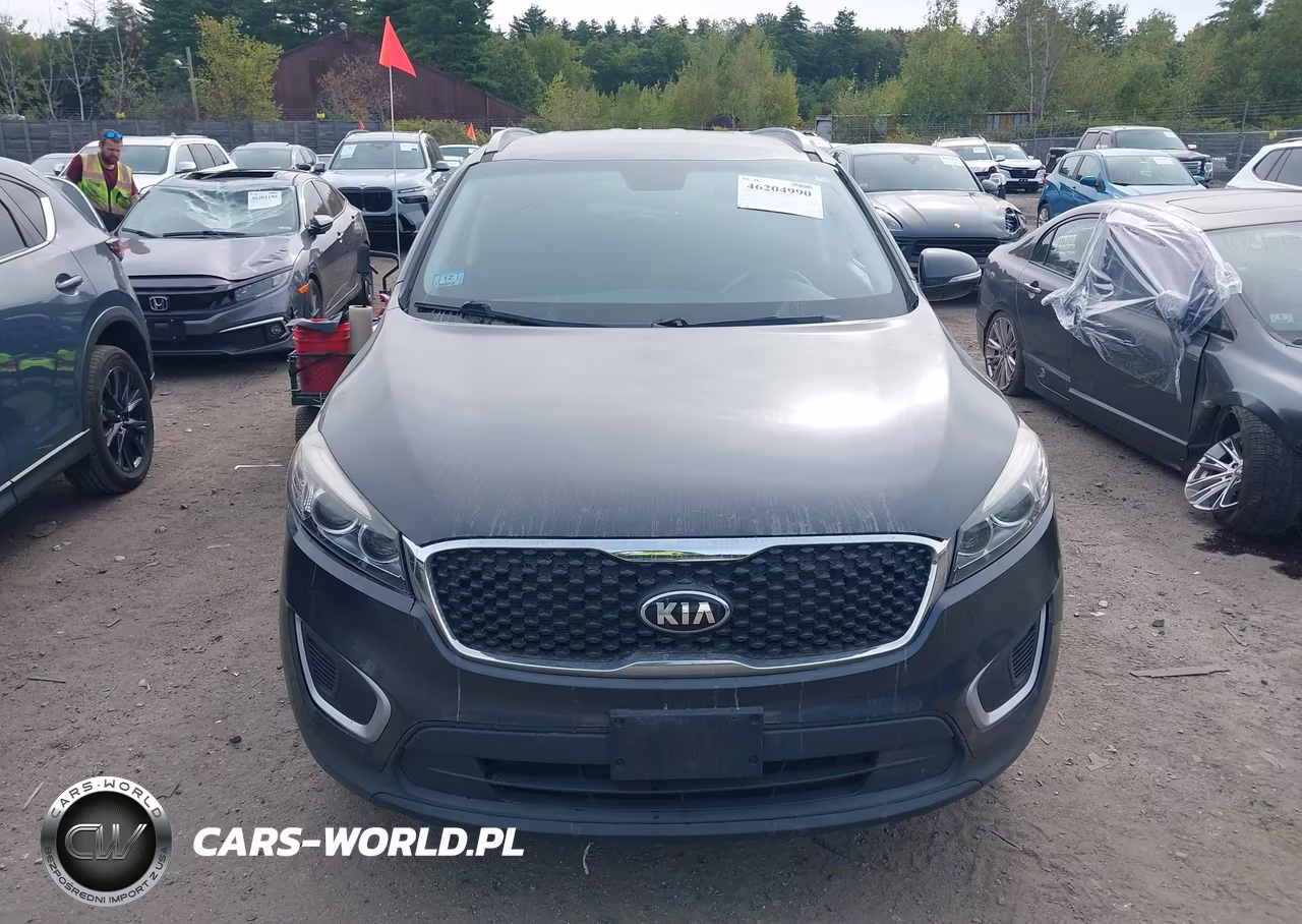 2017 Kia Sorento 2.4L Lx VIN:5XYPG4A30HG217161 - 13