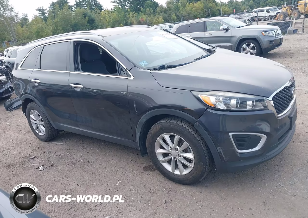 2017 Kia Sorento 2.4L Lx VIN:5XYPG4A30HG217161 - 14
