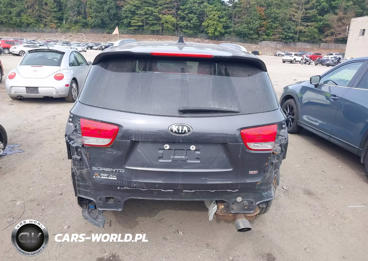 2017 Kia Sorento 2.4L Lx VIN:5XYPG4A30HG217161 - 17