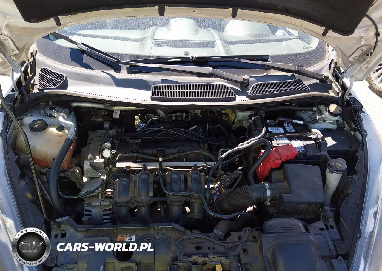 2015 Ford Fiesta Se VIN:3FADP4EJ3FM219004 - 10