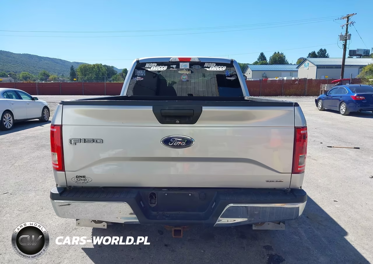 2015 Ford F-150 Xlt VIN:1FTFW1EF5FFB95918 - 17