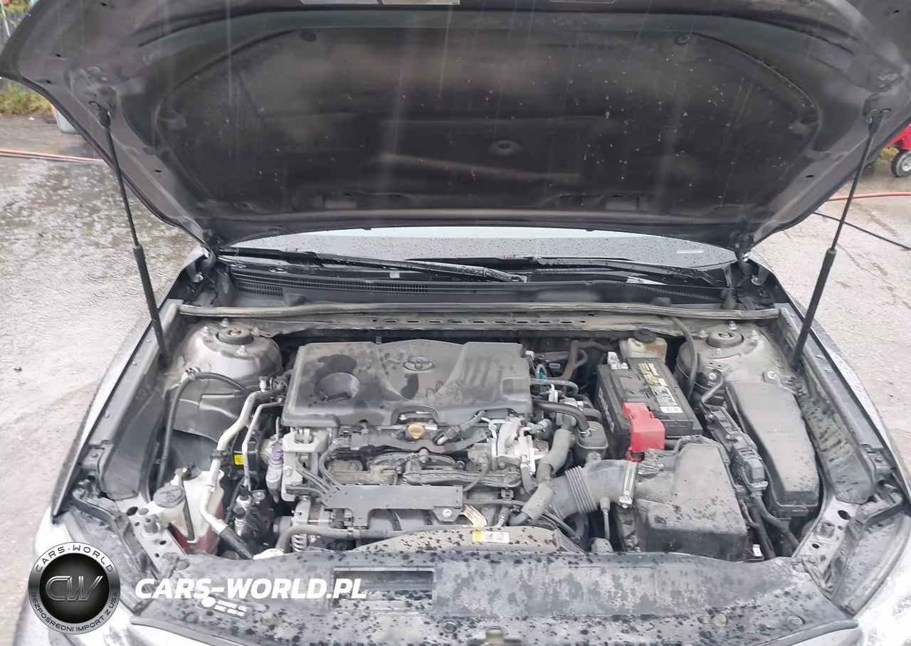 2018 Toyota Camry Se VIN:4T1B11HK4JU603900 - 10