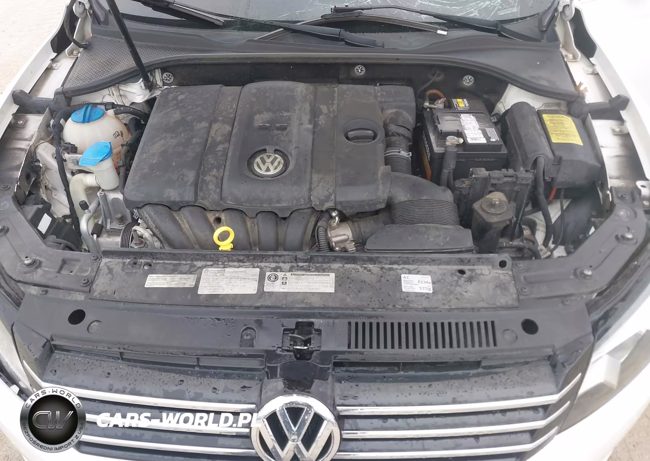 2013 Volkswagen Passat 2.5L Se VIN:1VWBH7A30DC102967 - 10
