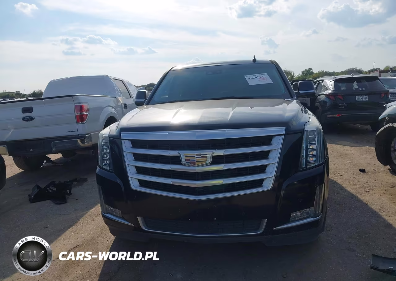 2016 Cadillac Escalade Premium Collection VIN:1GYS4CKJ1GR167536 - 12