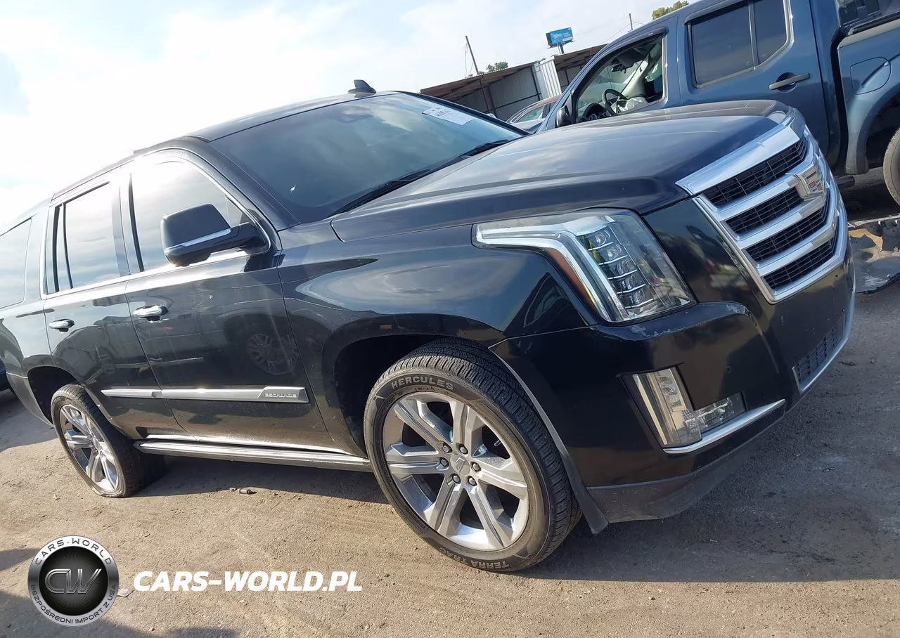 2016 Cadillac Escalade Premium Collection VIN:1GYS4CKJ1GR167536 - 13