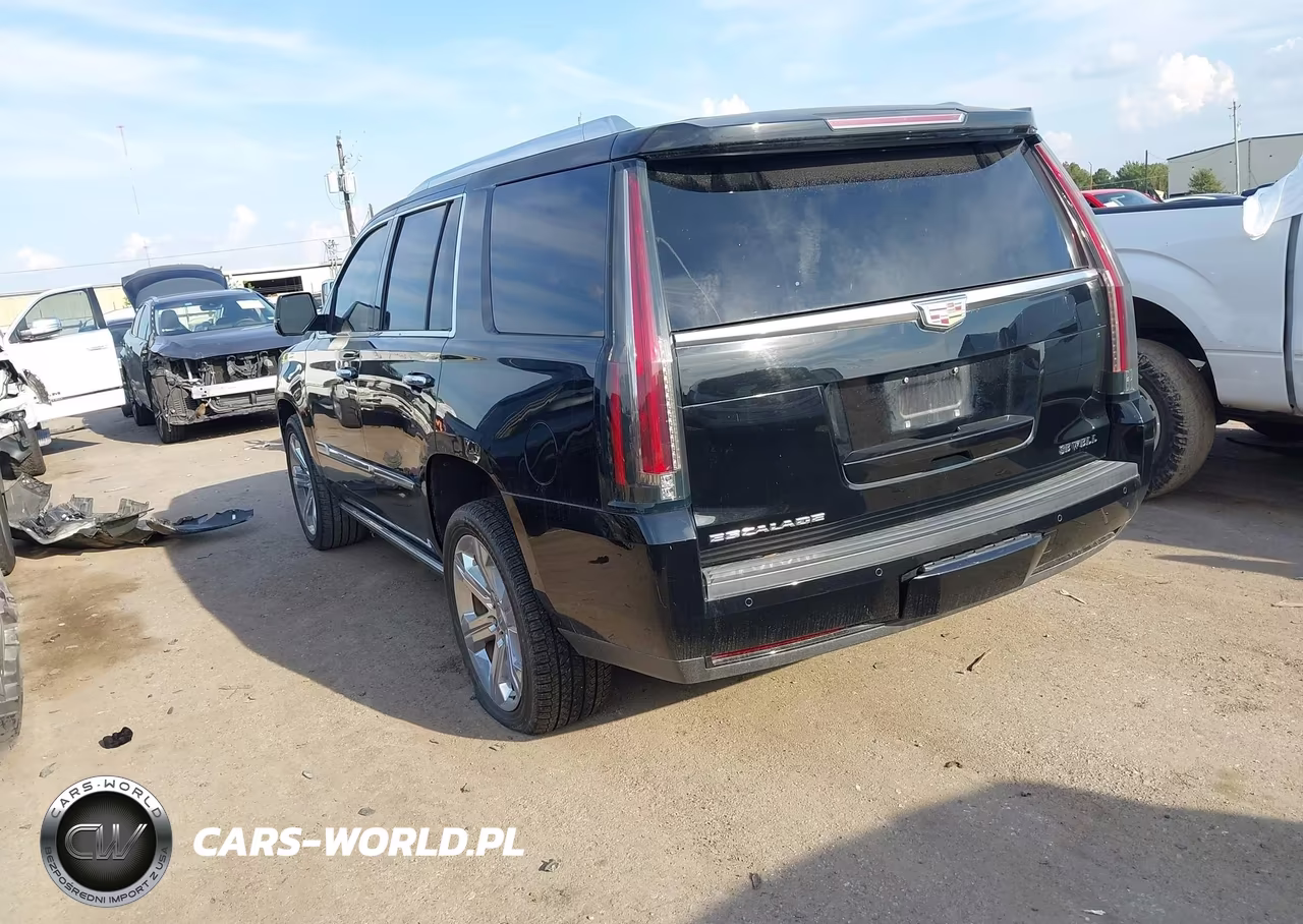 2016 Cadillac Escalade Premium Collection VIN:1GYS4CKJ1GR167536 - 3
