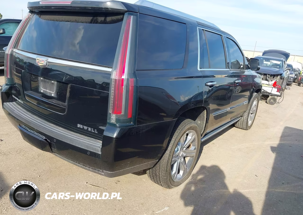 2016 Cadillac Escalade Premium Collection VIN:1GYS4CKJ1GR167536 - 4