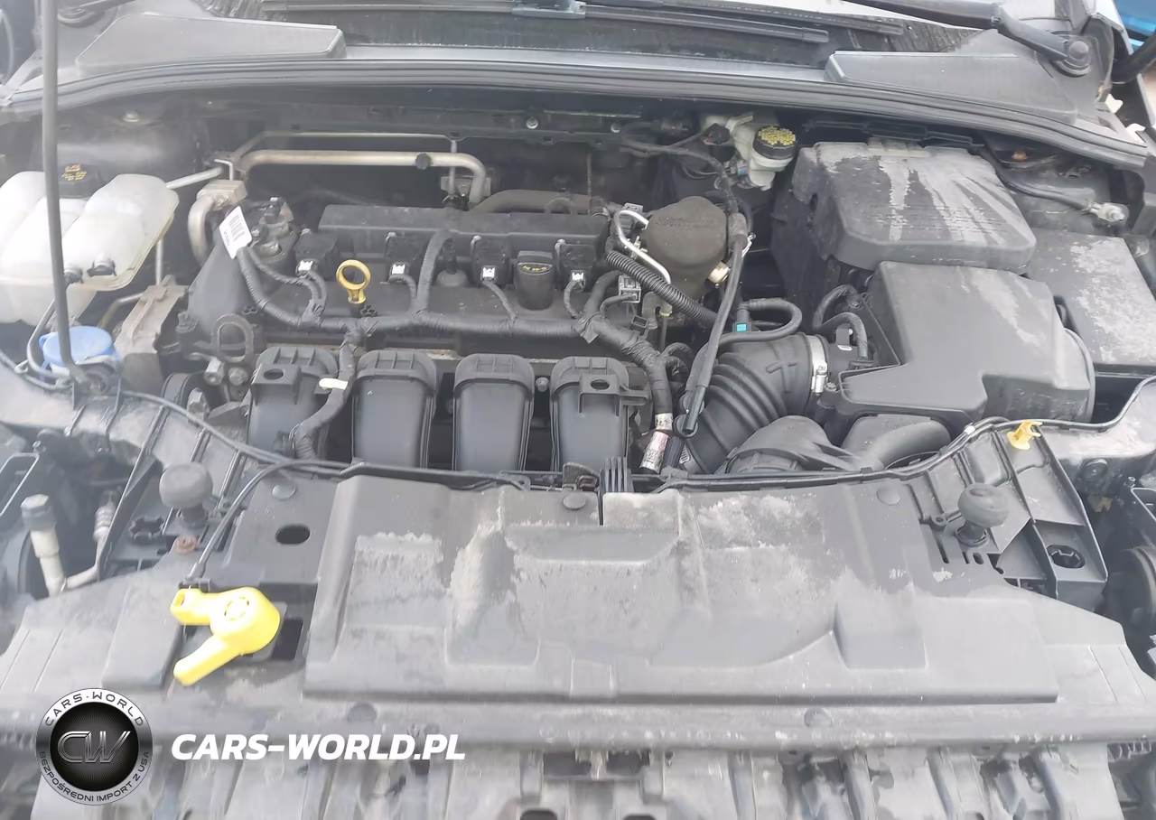 2015 Ford Focus Se VIN:1FADP3F29FL260353 - 10