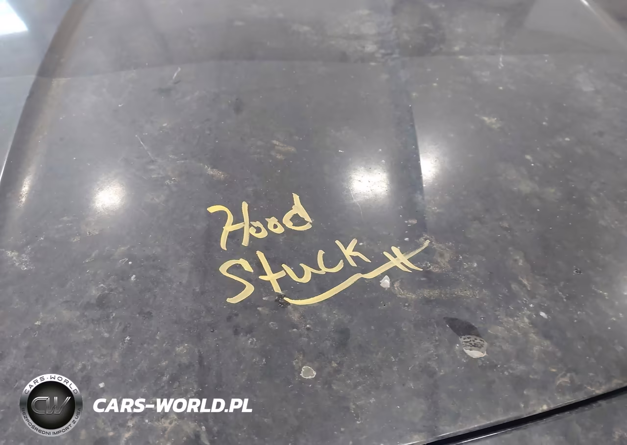 2015 Mercedes-Benz Slk-Class Slk 55 Amg VIN:WDDPK7FA1FF106700 - 10