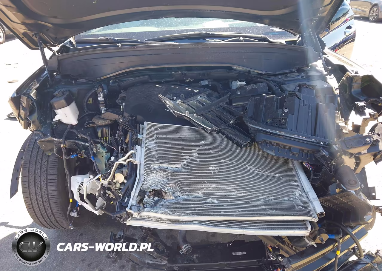 2024 Hyundai Palisade Calligraphy VIN:KM8R7DGE1RU691360 - 10