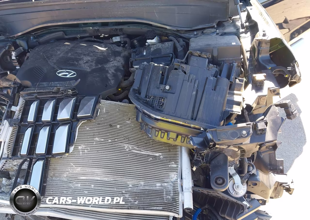 2024 Hyundai Palisade Calligraphy VIN:KM8R7DGE1RU691360 - 17