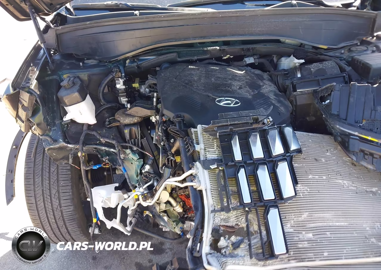 2024 Hyundai Palisade Calligraphy VIN:KM8R7DGE1RU691360 - 18