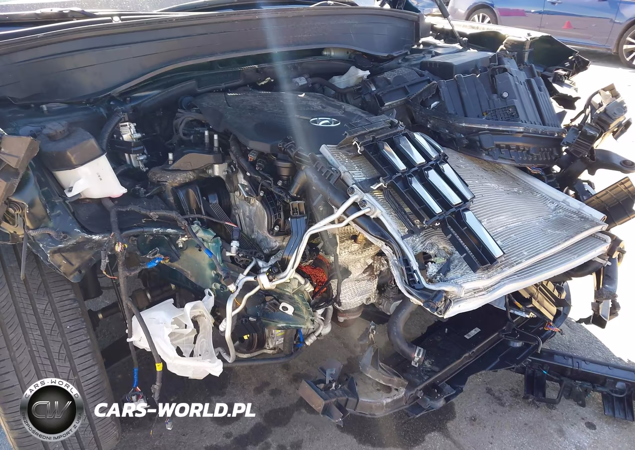 2024 Hyundai Palisade Calligraphy VIN:KM8R7DGE1RU691360 - 19