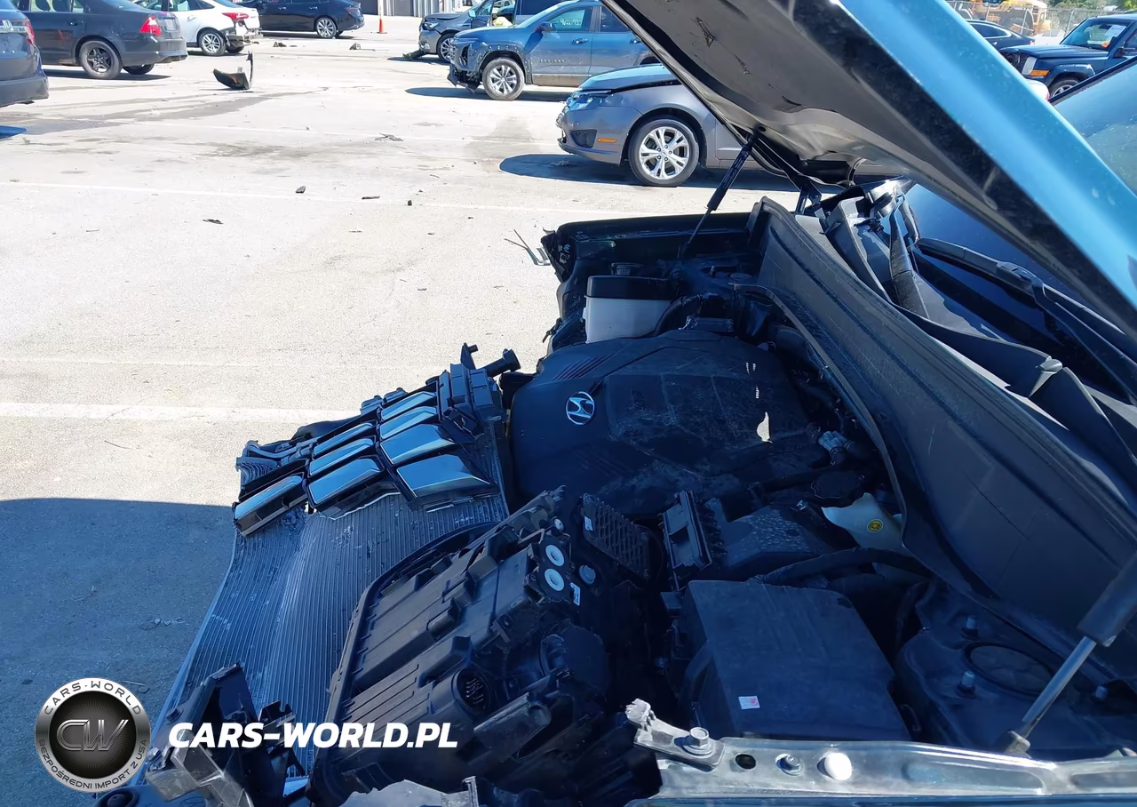 2024 Hyundai Palisade Calligraphy VIN:KM8R7DGE1RU691360 - 21