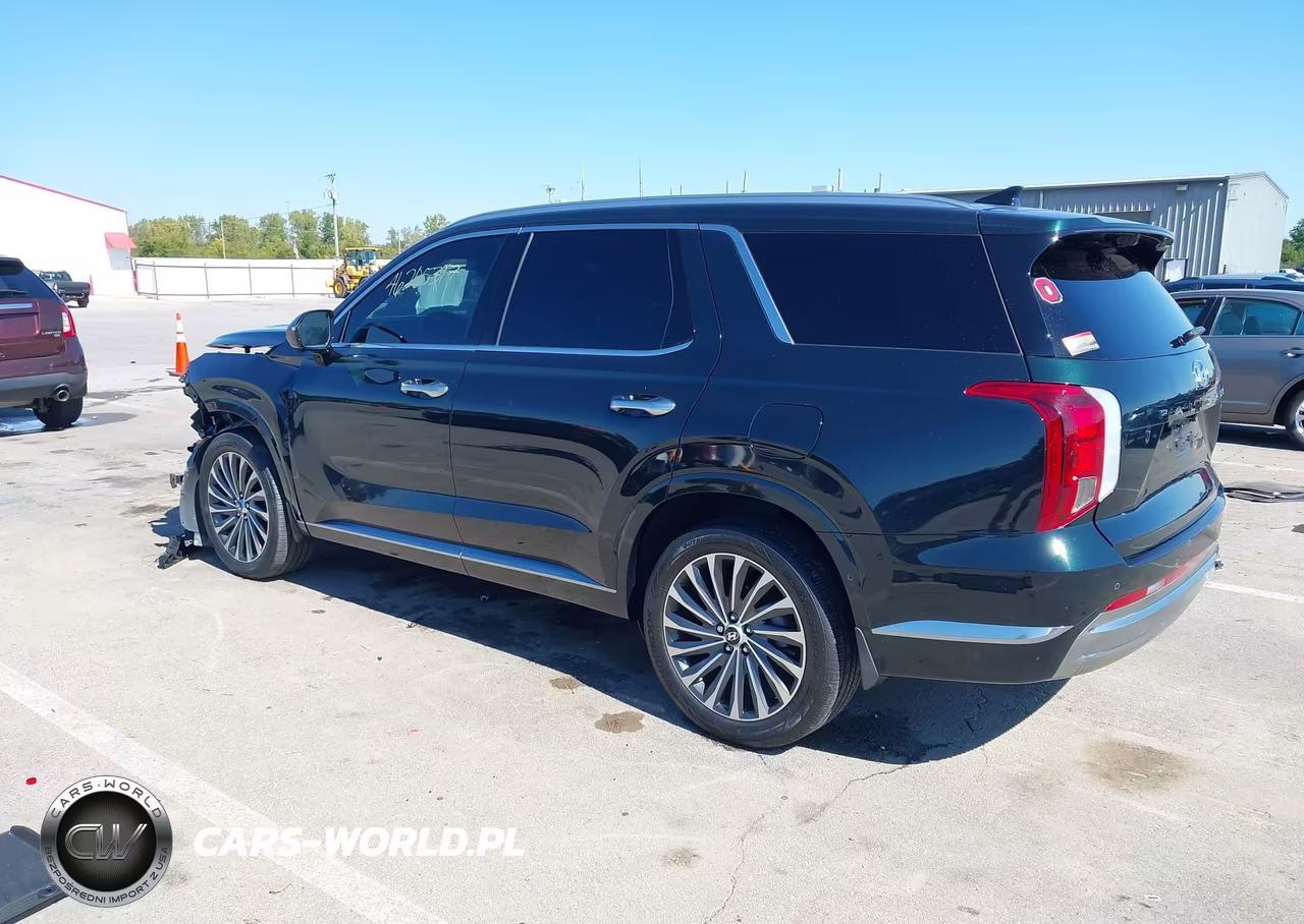 2024 Hyundai Palisade Calligraphy VIN:KM8R7DGE1RU691360 - 3