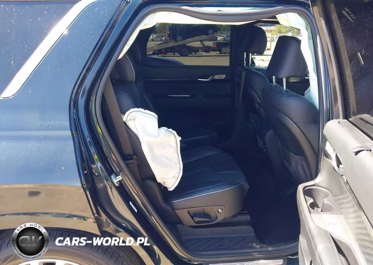 2024 Hyundai Palisade Calligraphy VIN:KM8R7DGE1RU691360 - 8