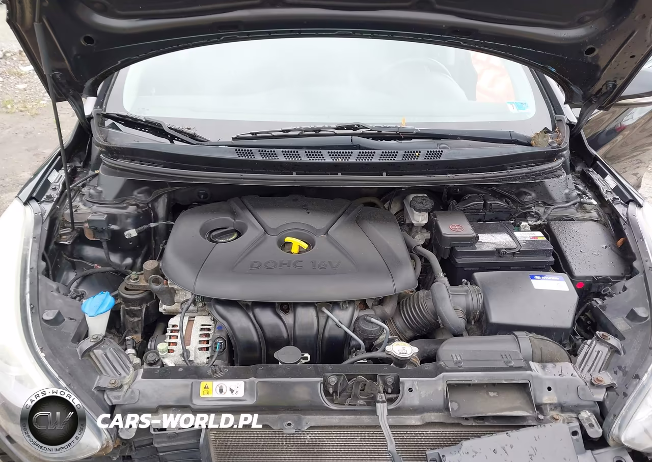 2016 Hyundai Elantra Limited VIN:KMHDH4AE5GU515585 - 10